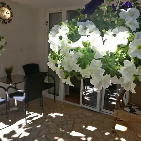 Appartement Ana -