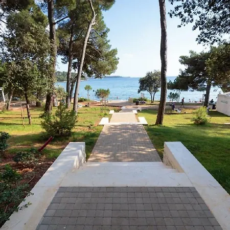 Appartement Ana - *